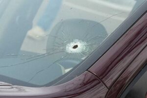 The Death of Renee Nicole Good